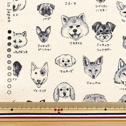 [Quantity starting from 5] Fabric 『Oxford Illustrated Book Series Dogs YPA-61000-2B" KOKKA