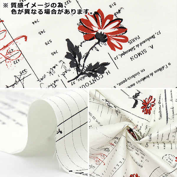 [Quantity starting from 5] Fabric "Koseki Suzuko Sharting Bikabikachint Processing Paper & Marguerite Orange SZ825826-B" YUWA Ariwa Shoten