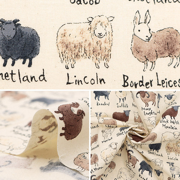 [From quantity 5] Fabric "Nova Sheeting Sheep picture natural NSE-She-NA" KOKKA 【Yuzawayaoriginal】