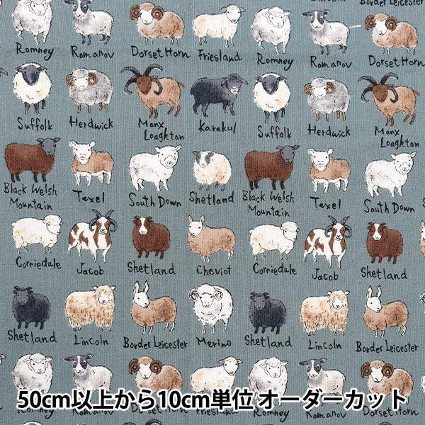 [From quantity 5] Fabric "Nova Sheeting Sheep 図 鑑 Blue Gray NSE-SHE-BGY" KOKKA 【Yuzawayaoriginal】