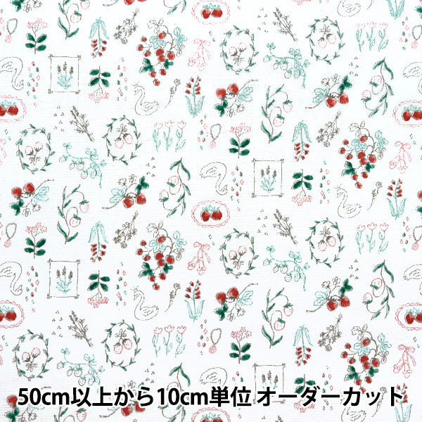 [From quantity 5] Fabric "Nova Oxford Jewelry Box Ichigo White NOX-JSTR-WH" KOKKA 【Yuzawayaoriginal】