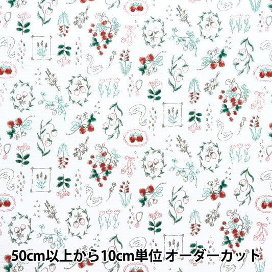 [From quantity 5] Fabric "Nova Oxford Jewelry Box Ichigo White NOX-JSTR-WH" KOKKA 【Yuzawayaoriginal】