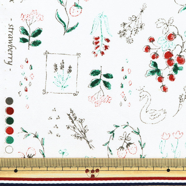 [From quantity 5] Fabric "Nova Oxford Jewelry Box Ichigo White NOX-JSTR-WH" KOKKA 【Yuzawayaoriginal】