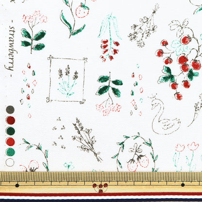 [From quantity 5] Fabric "Nova Oxford Jewelry Box Ichigo White NOX-JSTR-WH" KOKKA 【Yuzawayaoriginal】