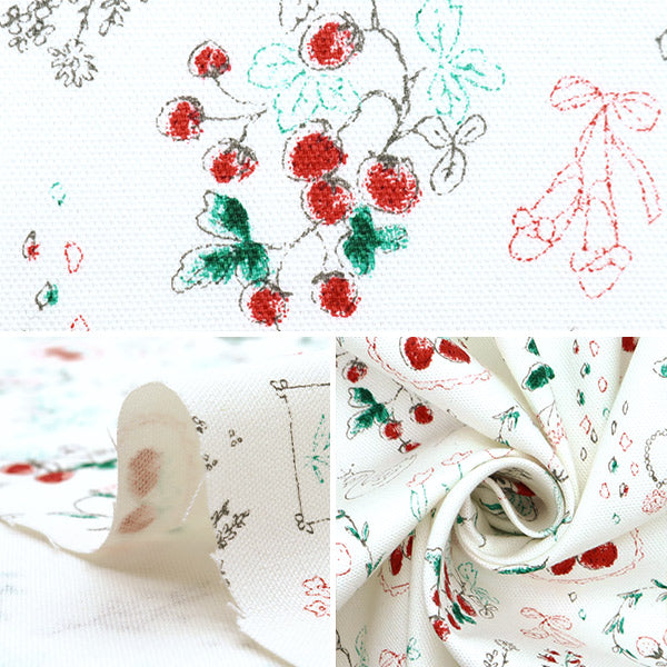 [From quantity 5] Fabric "Nova Oxford Jewelry Box Ichigo White NOX-JSTR-WH" KOKKA 【Yuzawayaoriginal】