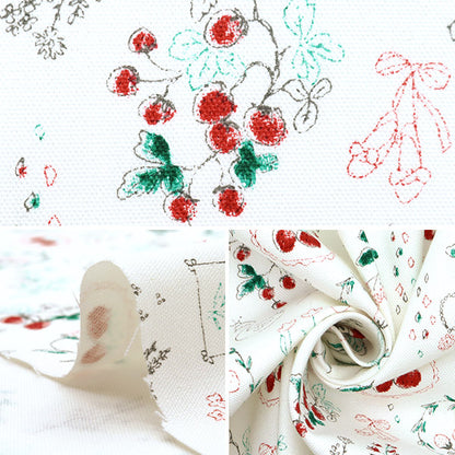 [From quantity 5] Fabric "Nova Oxford Jewelry Box Ichigo White NOX-JSTR-WH" KOKKA 【Yuzawayaoriginal】
