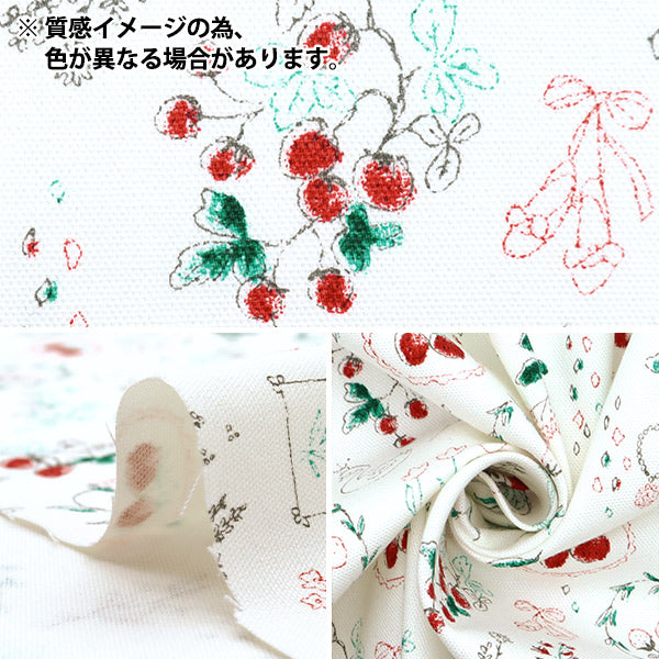[From quantity 5] Fabric "Nova Oxford Jewelry Box Ichigo Light Gray NOX-JSTR-LGY" KOKKA 【Yuzawayaoriginal】