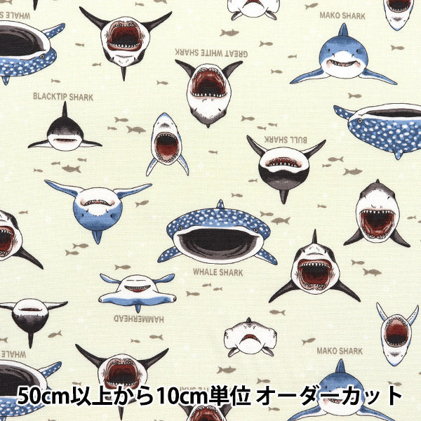 [Quantity starting from 5] Fabric 『Oxford Colorful canvas shark shark natural COCAN-SHA-NA" KOKKA