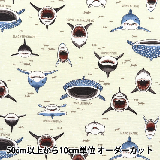 [Quantity starting from 5] Fabric 『Oxford Colorful canvas shark shark natural COCAN-SHA-NA" KOKKA