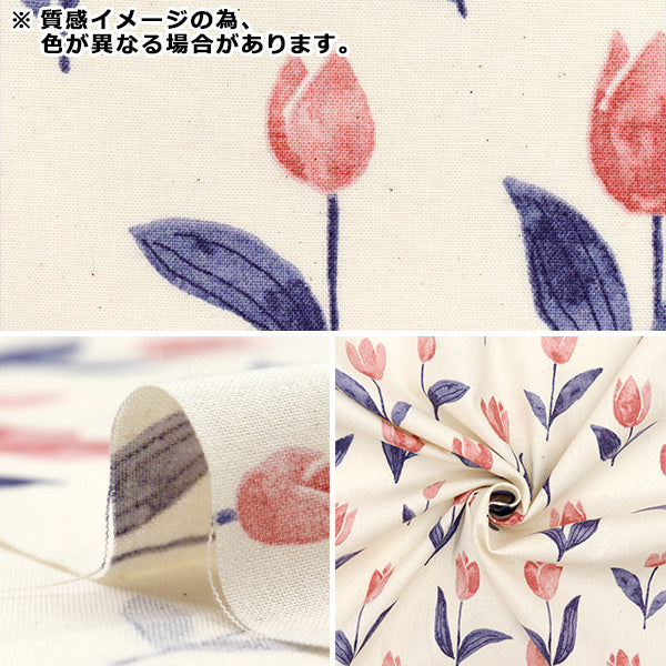 [Quantity starting from 5] Fabric 『Sheeting Palette Tulip Light Blue 144-8055-I3SA" 【Yuzawayaoriginal】