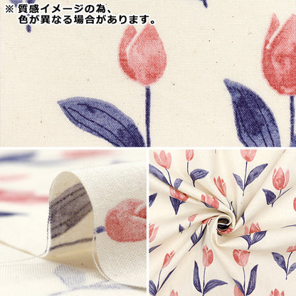 [Quantity starting from 5] Fabric 『Sheeting Palette Tulip Light Blue 144-8055-I3SA" 【Yuzawayaoriginal】