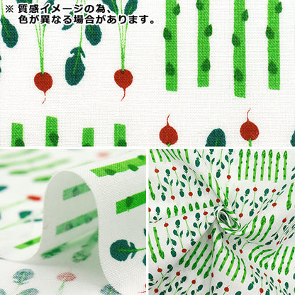 [数量从5开始] 织物 『板材织物 蔬菜黑色YZ1016-C"