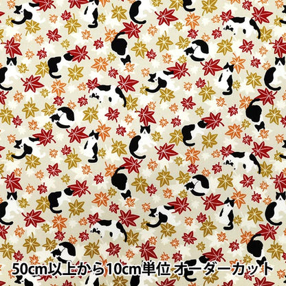 【数量5から】 生地 『シーチング ハチワレ猫紅葉 アイボリー YZ55902-1A』