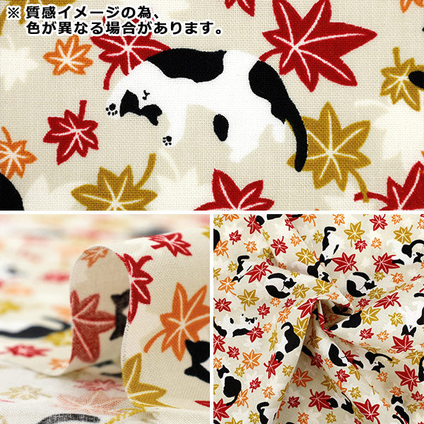 [数量从5开始] 织物 『板材织物 hachifure猫秋叶芥末yz55902-1c"