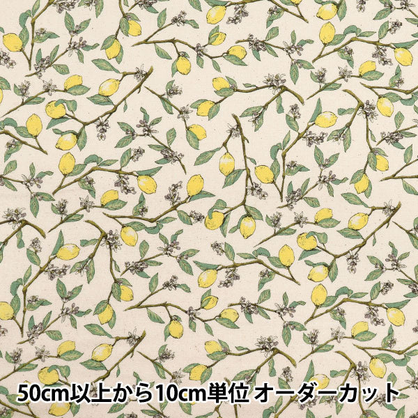 [Quantity starting from 5] Fabric 『Sheeting Lemon with branches, natural KTS6951SE-NA" COTTON KOBAYASHI 【Yuzawayaoriginal】
