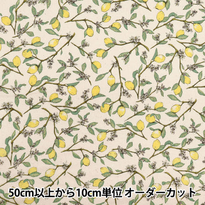 [Quantity starting from 5] Fabric 『Sheeting Lemon with branches, natural KTS6951SE-NA" COTTON KOBAYASHI 【Yuzawayaoriginal】