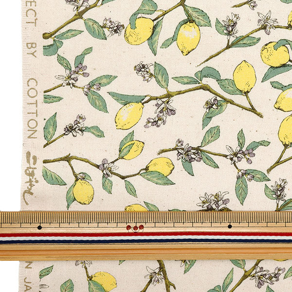 [Quantity starting from 5] Fabric 『Sheeting Lemon with branches, natural KTS6951SE-NA" COTTON KOBAYASHI 【Yuzawayaoriginal】