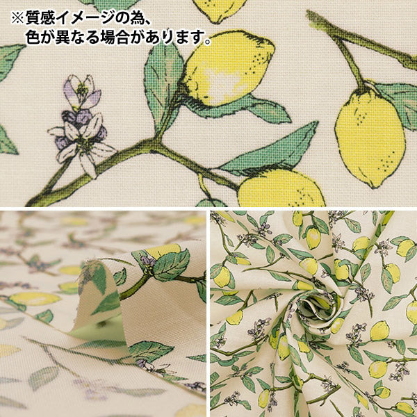 [Quantity starting from 5] Fabric 『Sheeting Lemon with branches, natural KTS6951SE-NA" COTTON KOBAYASHI 【Yuzawayaoriginal】