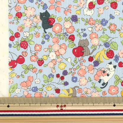 [数量从5开始] 织物 『板材织物 猫和果味花萨克斯管ACS1100-C" COTTON KOBAYASHI