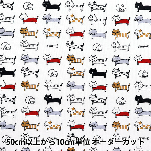 [数量从5开始] 织物 『板材织物 对齐的猫白色ACS1101-B" COTTON KOBAYASHI