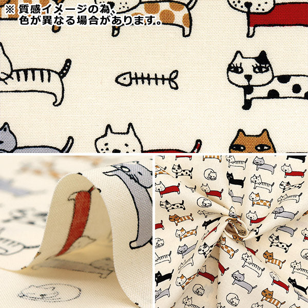 [数量从5开始] 织物 『板材织物 对齐的猫白色ACS1101-B" COTTON KOBAYASHI