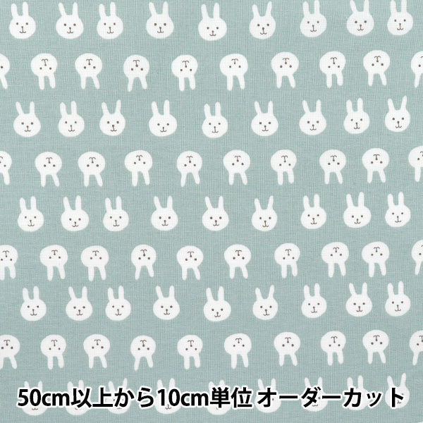 [Quantity starting from 5] Fabric 『Sheeting Usapion dull blue ACS1111-B" COTTON KOBAYASHI