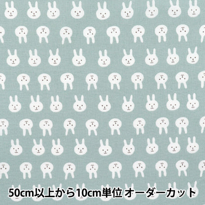 [Quantity starting from 5] Fabric 『Sheeting Usapion dull blue ACS1111-B" COTTON KOBAYASHI