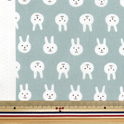 [Quantity starting from 5] Fabric 『Sheeting Usapion dull blue ACS1111-B" COTTON KOBAYASHI