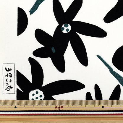 [Quantity starting from 5] Fabric "Usako's cloth" Oxford Season Black ACS1114-B" COTTON KOBAYASHI