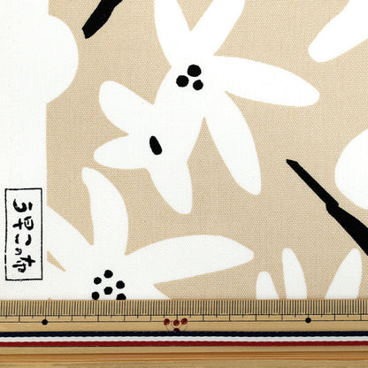 [Quantity starting from 5] Fabric "Usako's cloth" Oxford Season Beige x White ACS1114-C" COTTON KOBAYASHI