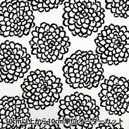 [Quantity starting from 5] Fabric "Usako's cloth" Oxford Dahlia White x Black ACS1115-C" COTTON KOBAYASHI
