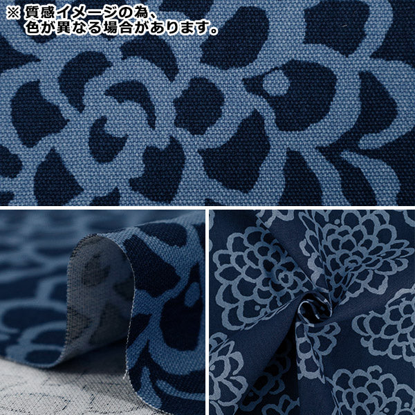 [Quantity starting from 5] Fabric "Usako's cloth" Oxford Dahlia Black x Green ACS1115-D" COTTON KOBAYASHI