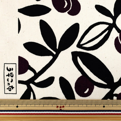 【数量5起】 織物 “快点，这布 牛津布 橄榄树×紫色ACS1136-A" COTTON KOBAYASHI