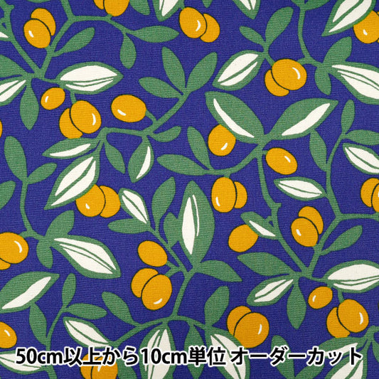 [Quantity starting from 5] Fabric "Usako's cloth" Oxford Olive Blue x Yellow ACS1136-B" COTTON KOBAYASHI
