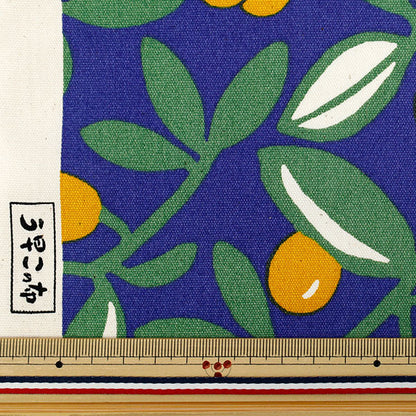 [Quantity starting from 5] Fabric "Usako's cloth" Oxford Olive Blue x Yellow ACS1136-B" COTTON KOBAYASHI