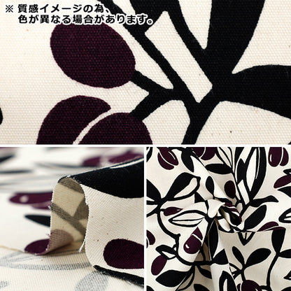 [Quantity starting from 5] Fabric "Usako's cloth" Oxford Olive Blue x Yellow ACS1136-B" COTTON KOBAYASHI