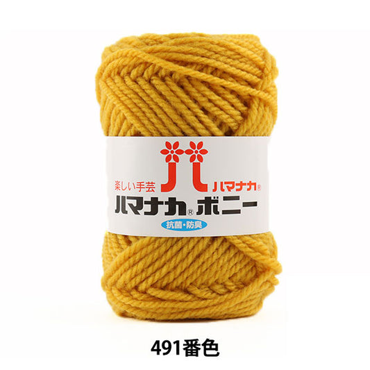 纱线 “ Hamanaka Bonnie 491颜色” Hamanaka