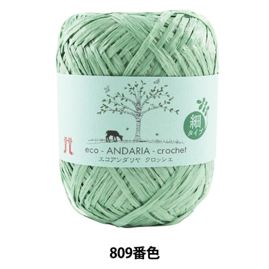 工艺纱线 “ Ecoandariya钩针编织809颜色” Hamanaka