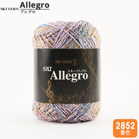 秋冬纱线 “滑雪Allegro（滑雪Allegro）2852颜色” Skiyarn滑雪纱