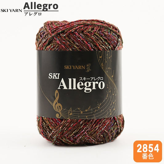 秋冬纱线 “滑雪Allegro（滑雪Allegro）2854颜色” Skiyarn滑雪纱