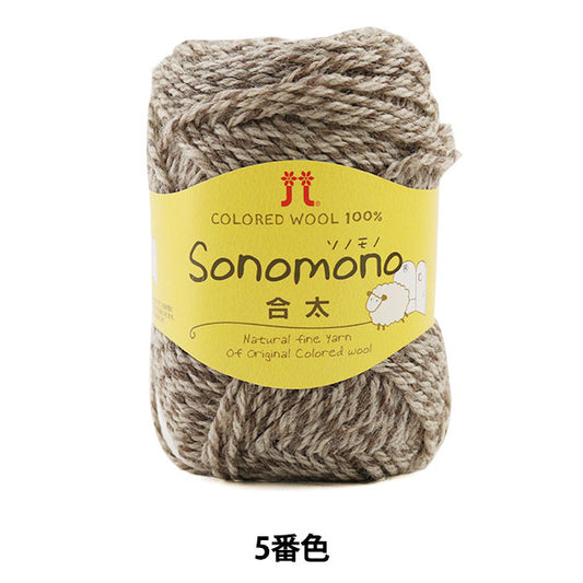 秋冬纱线 “ Sonomono（Sonomono）Jota第五颜色” Hamanaka