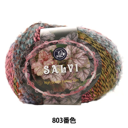 秋冬纱线 “萨尔维（萨尔维）803颜色” Puppy