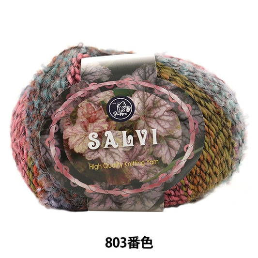 秋冬纱线 “萨尔维（萨尔维）803颜色” Puppy