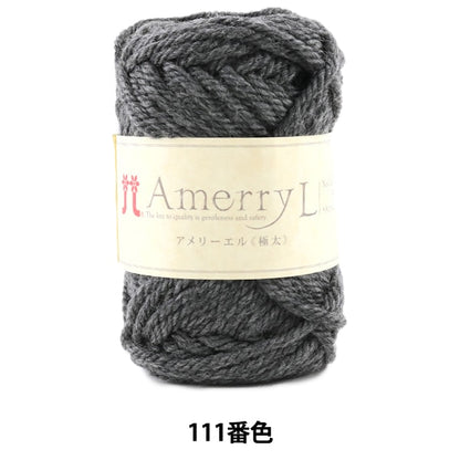 秋冬纱线 “ Amerry L（Ameryel）（极厚）111颜色” Hamanaka