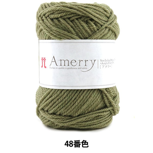 秋冬纱线 “ Amerry第48颜色” Hamanaka