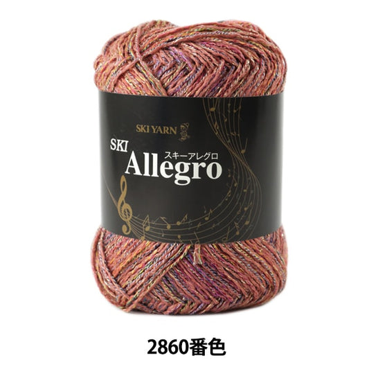 秋冬纱线 “滑雪Allegro（滑雪Allegro）2860颜色” Skiyarn滑雪纱