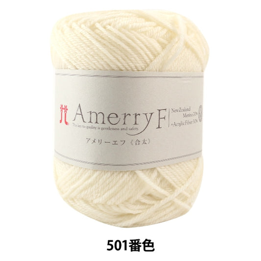 秋冬纱线 “ Amerry F（Ameyev）（Jota）501颜色” Hamanaka