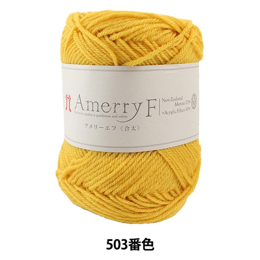 秋冬纱线 “ Amerry F（Ameyev）（gota）503颜色” Hamanaka