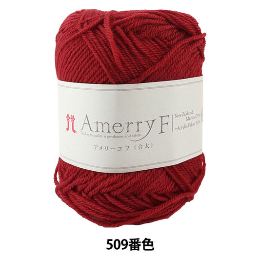 秋冬纱线 “ Amerry F（Ameyev）（gota）509颜色” Hamanaka