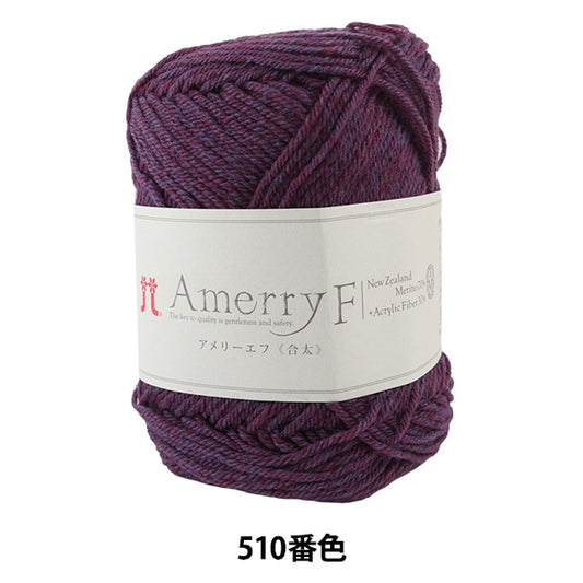 秋冬纱线 “ Amerry F（Ameyev）（gota）510颜色” Hamanaka